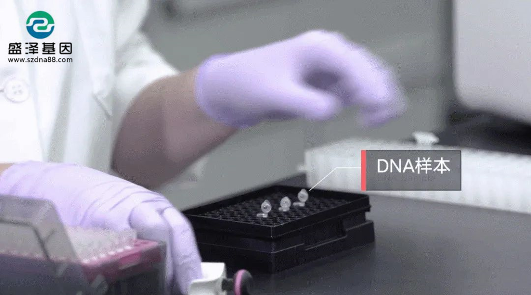 親子鑒定中心的故事能有多奇葩？