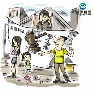 親子鑒定該不該背婚姻失敗的鍋？