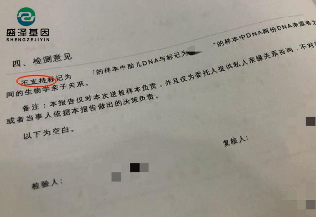 DNA親子鑒定報告究竟長啥樣？怎么看？