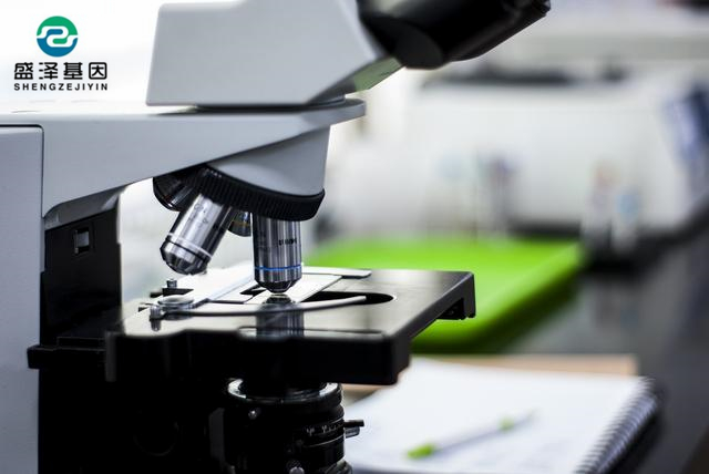 做親子鑒定花費(fèi)高嗎？中山做親子鑒定需要多少錢(qián)？