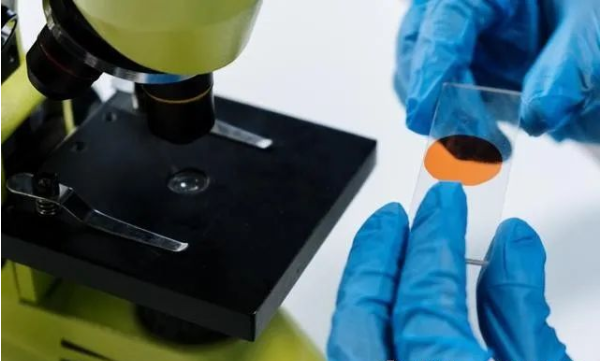 中山DNA親子鑒定中心鑒定流程是怎么樣的?2 中山DNA親子鑒定中心鑒定流程是怎么樣的?2