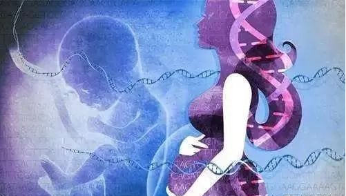 無創產前基因檢測（NIPT）到底有什么作用？