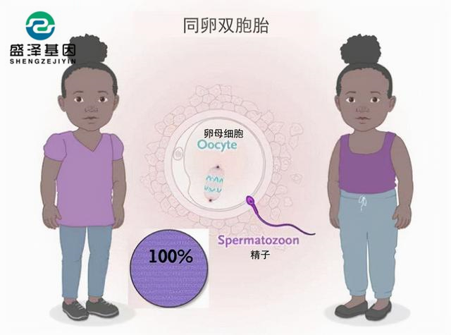 廣東男子做親子鑒定,竟發(fā)現(xiàn)自家雙胞胎有一個(gè)不是自己的?! 廣東男子做親子鑒定,竟發(fā)現(xiàn)自家雙胞胎有一個(gè)不是自己的?!