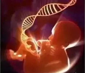 無創產前基因檢測（NIPT）到底有什么作用？