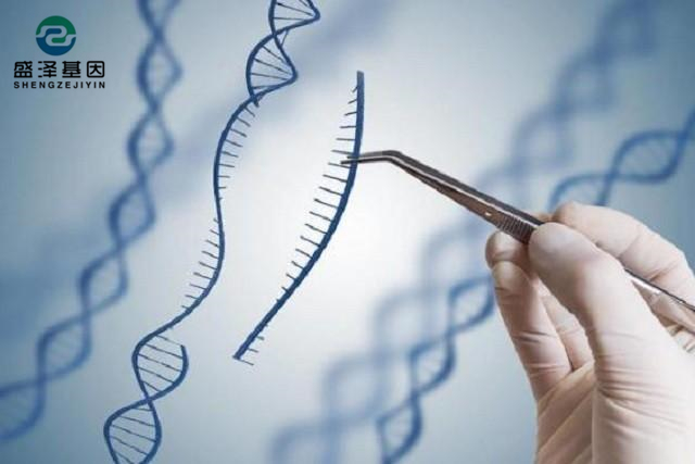 廣東男子做親子鑒定,竟發(fā)現(xiàn)自家雙胞胎有一個(gè)不是自己的?! 廣東男子做親子鑒定,竟發(fā)現(xiàn)自家雙胞胎有一個(gè)不是自己的?!