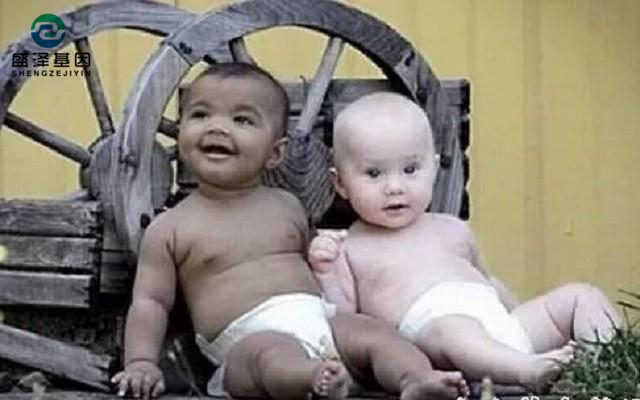 雙胞胎做親子鑒定結果竟是同母異父？親子鑒定師：罕見！