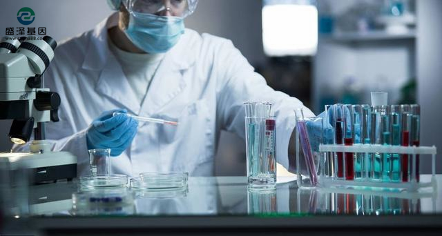 中山需要做高考升學親子鑒定的小伙伴看過來！