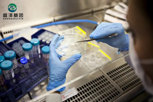 中山做親子鑒定本人不去可以檢測(cè)樣本嗎？