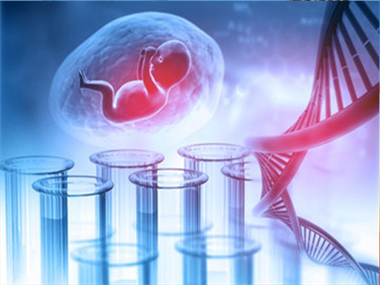 懷孕親子鑒定風(fēng)險性高嗎？