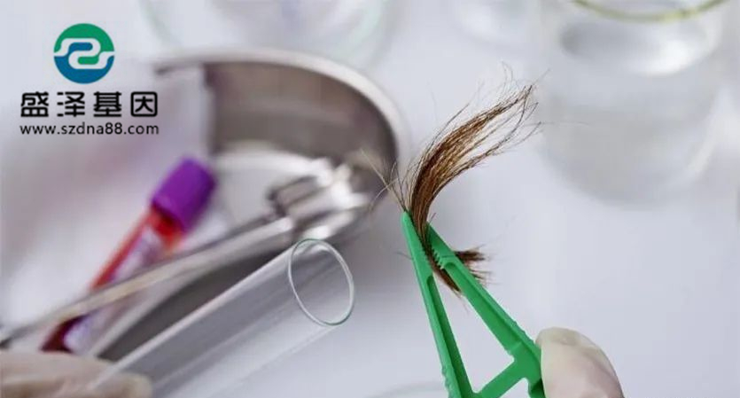 剛出生的小孩能用頭發(fā)做dna親子鑒定檢材嗎？準(zhǔn)確率高嗎？