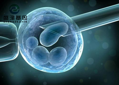 親子鑒定師講述：老公明明是無精癥，老婆卻試管嬰兒懷孕成功？