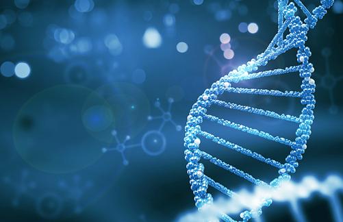 結婚后男方要求女方做親子鑒定是要確定撫養的是自己的孩子