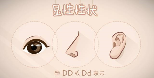 親子鑒定到底是個啥？怎么個鑒定法？