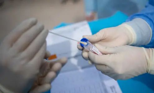 自己做隱私親子審定需要采集什么樣本？