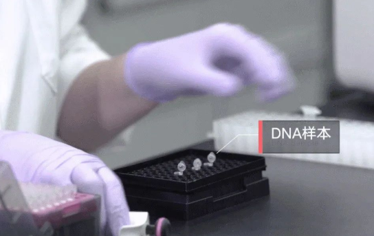 人員如何快速采樣？鑒定機(jī)構(gòu)對收到的親子鑒定樣本負(fù)責(zé)