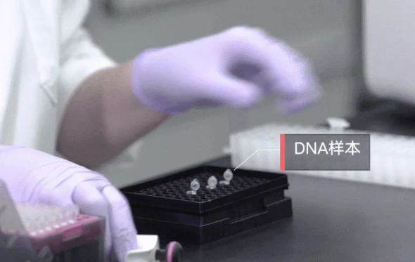 郵寄親子鑒定樣本準不準確？鑒定結(jié)果會不會出錯？