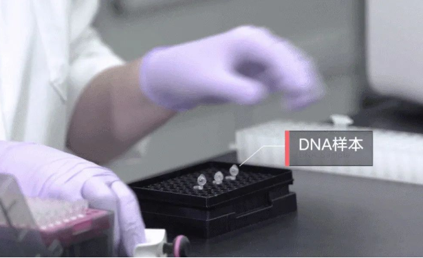 孩子不像丈夫怎么采集親子鑒定樣本確認(rèn)關(guān)系？需要幾個(gè)工作日？