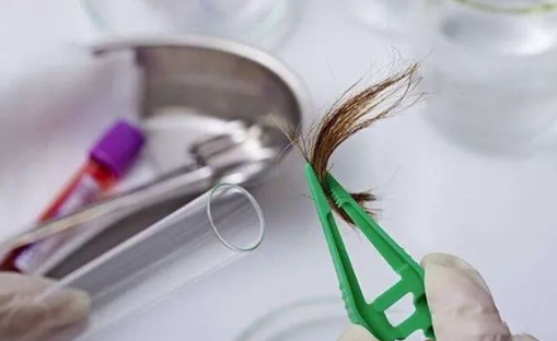 煙頭、血痕、毛發，做親子鑒定用哪些樣本最為準確？