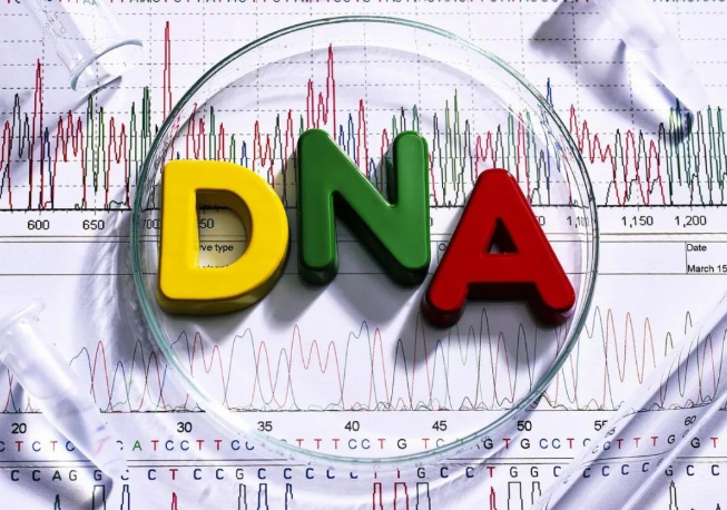 染色體遺傳：親子鑒定就是看血型么？