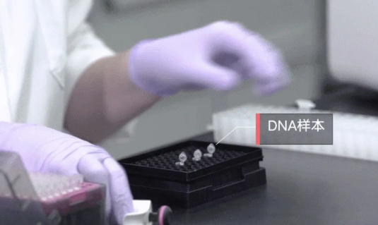 親子鑒定檢驗(yàn)血型血痕，被鑒定人應(yīng)了解自己或近親屬有無(wú)遺傳病史