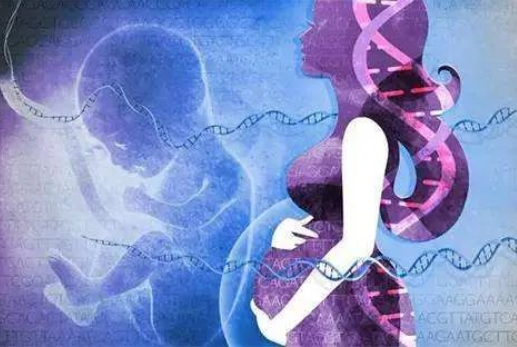 孕婦懷孕幾個月可以做dna親子鑒定？對胎兒有傷害嗎？