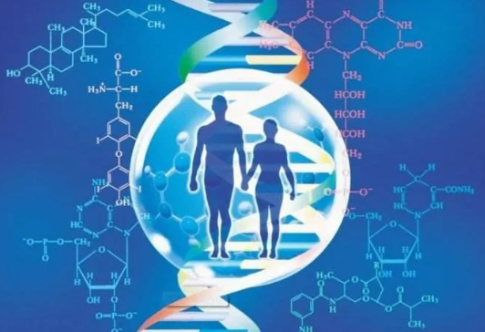 親子鑒定中心是如何做出血緣關(guān)系鑒定結(jié)果的？