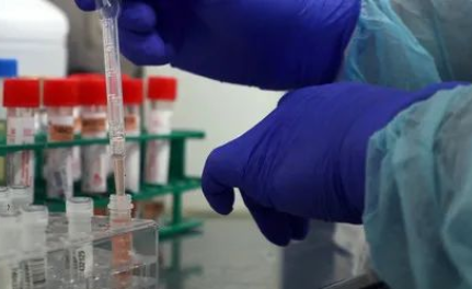 探秘個人親子鑒定和司法親子鑒定，什么是兩聯(lián)體、三聯(lián)體？