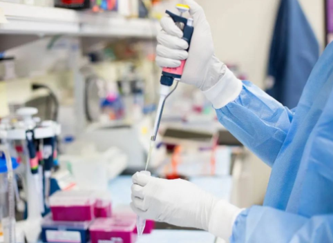 結婚有多少人做親子鑒定?女方比例有多高?孩子同居您怎么看? 結婚有多少人做親子鑒定?女方比例有多高?孩子同居您怎么看?