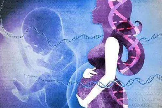 為什么孕婦可以通過(guò)靜脈血親子鑒定胎兒？