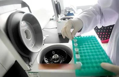 指甲是否含有DNA，可作為親子鑒定樣本嗎？