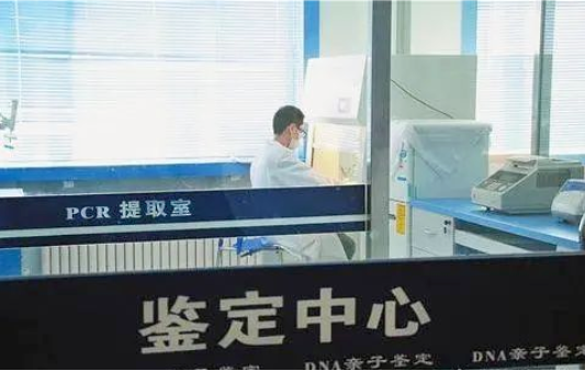 親子關系鑒定費用和樣本這些因素有關