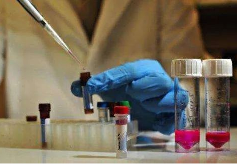 隱私親子鑒定，讓你和妻子的感情“止于”懷疑！