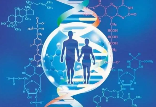 男方要求做親子鑒定的情況增多，是西方文化與傳統(tǒng)道德觀點的碰撞