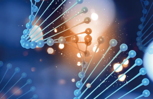 通過血型能否看出孩子是不是親生的?關于染色體親子鑒定準確率 通過血型能否看出孩子是不是親生的?關于染色體親子鑒定準確率