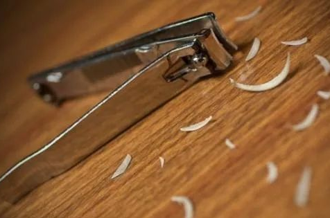 采集被鑒定人指甲做親子鑒定檢材大概需要多少錢?