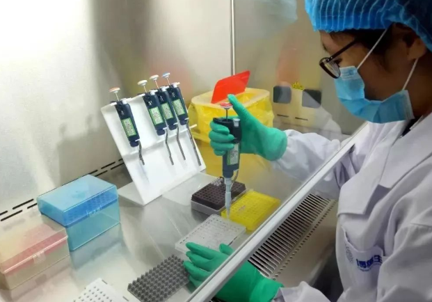 剪下來的頭發沒有毛囊可以做親子鑒定樣本嗎？