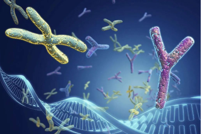 梁老伯：爺爺跟孫子可以做親緣關(guān)系鑒定嗎？多少錢？