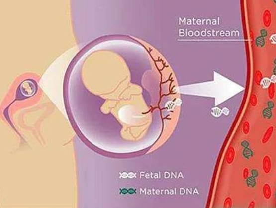 孕媽沈女士求助：懷孕胎兒親子鑒定準(zhǔn)確嗎？