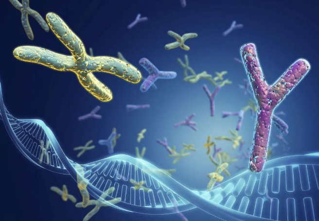 兄妹之間可以做親子鑒定嗎?兄弟之間可以做親緣關(guān)系鑒定嗎? 兄妹之間可以做親子鑒定嗎?兄弟之間可以做親緣關(guān)系鑒定嗎?