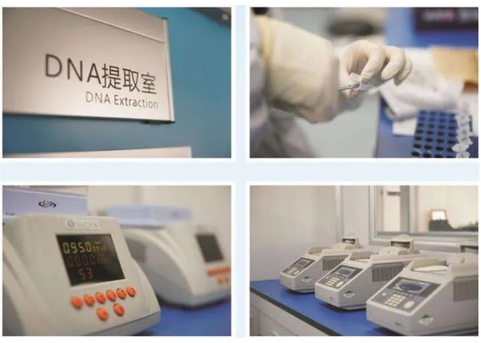 委托人一般在哪里做隱私親子鑒定？本中心保障隱私準確