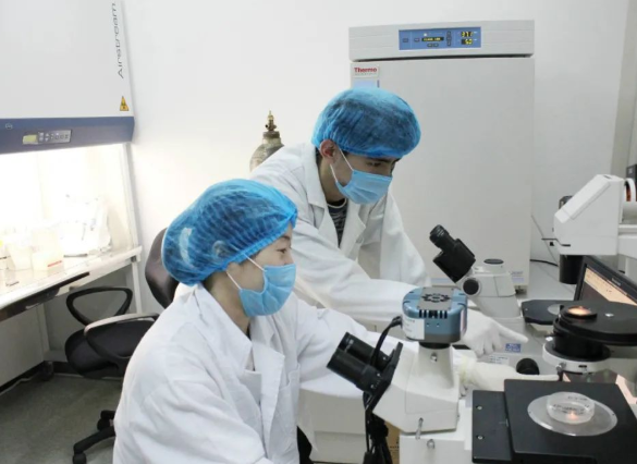 親子鑒定可以驗證妻子忠貞度，也可以給孩子上戶口