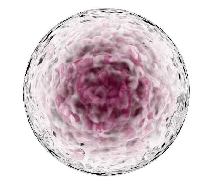 第三代試管咨詢 第三代試管咨詢