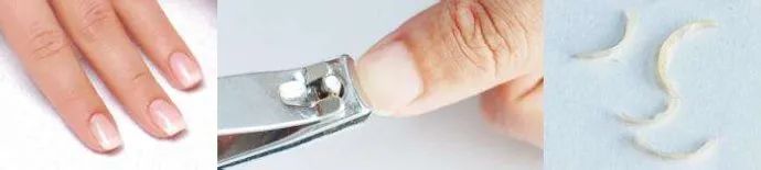 可以用指甲做親子DNA鑒定嗎？