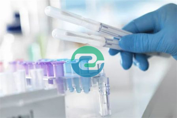 辦理中山親子鑒定時應注意什么？