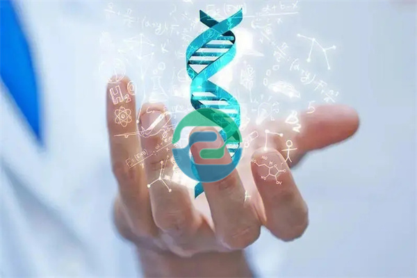 中山親子鑒定在內地與香港之間的人口流動中發揮關鍵作用