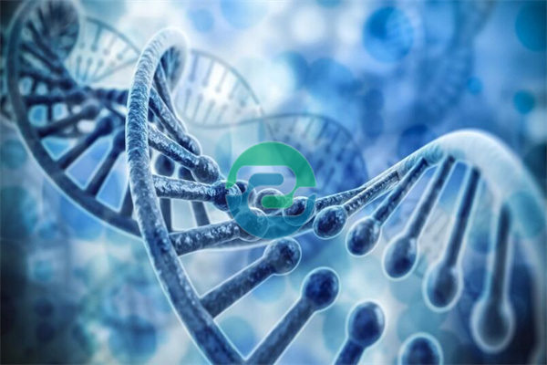 真的要親自去做中山親子鑒定嗎？