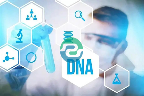 中山無創DNA親子鑒定給孕媽媽一個更安全的選擇