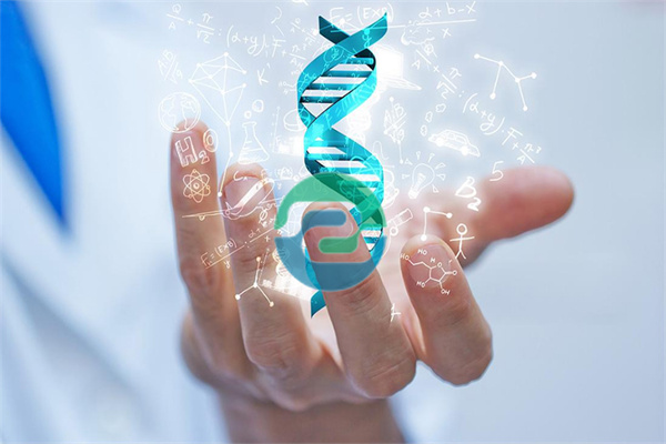 中山DNA親子鑒定背后的科學理論邏輯