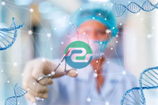 選擇中山正規親子鑒定機構的重要性