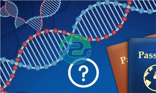 中山親子鑒定要花多少錢？